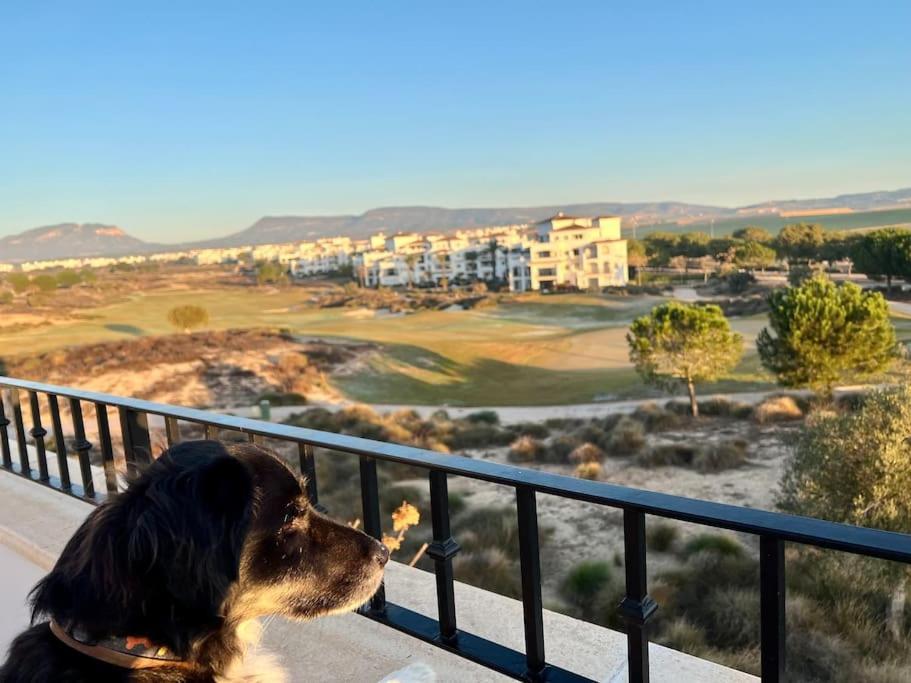 Apartament Myrtus Golf Murcja Zewnętrze zdjęcie